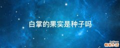 白掌的果实是种子吗