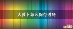 大萝卜怎么保存过冬