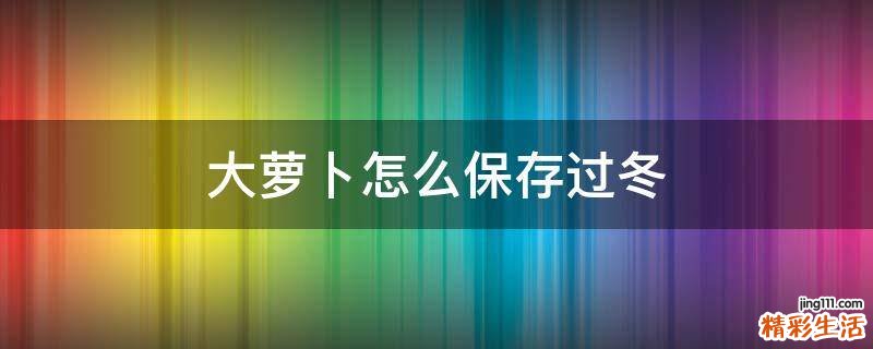 大萝卜怎么保存过冬