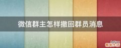 微信群主怎样撤回群员消息