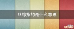 丝绦指的是什么意思