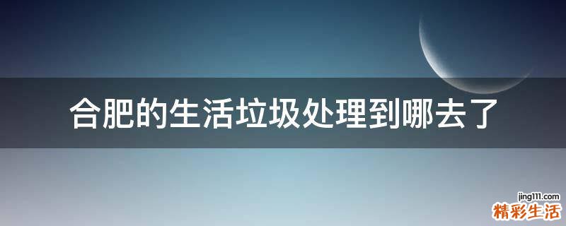 合肥的生活垃圾处理到哪去了