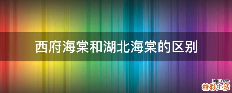 西府海棠和湖北海棠的区别