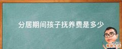 分居期间孩子抚养费是多少