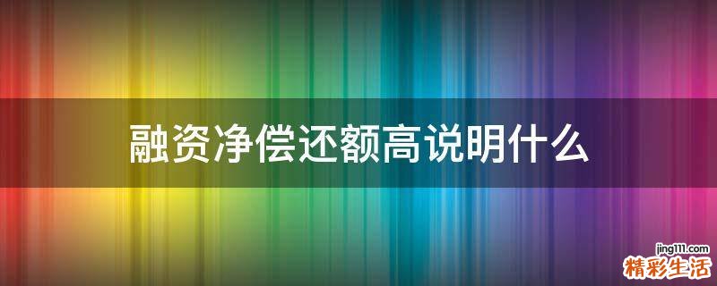 融资净偿还额高说明什么