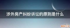 涉外房产纠纷诉讼的原则是什么