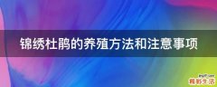 锦绣杜鹃的养殖方法和注意事项