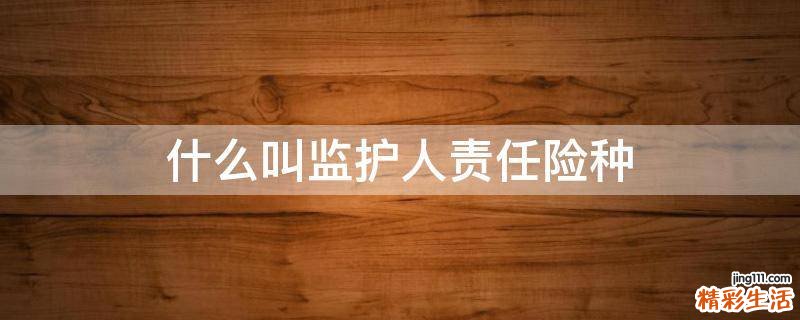 什么叫监护人责任险种