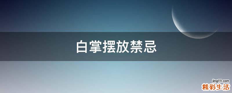 白掌摆放禁忌