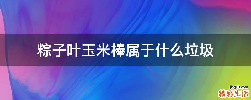 粽子叶玉米棒属于什么垃圾