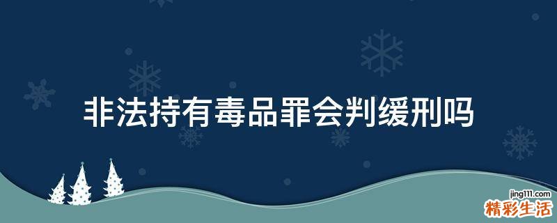 非法持有毒品罪会判缓刑吗