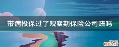 带病投保过了观察期保险公司赔吗