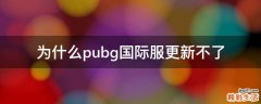为什么pubg国际服更新不了