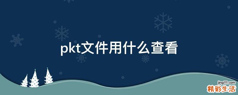 pkt文件用什么查看