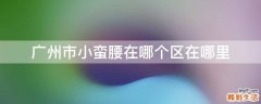 广州市小蛮腰在哪个区在哪里
