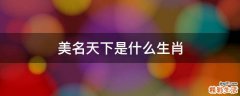 美名天下是什么生肖