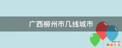 广西柳州市几线城市