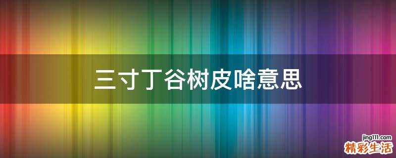 三寸丁谷树皮啥意思
