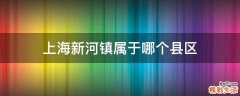 上海新河镇属于哪个县区