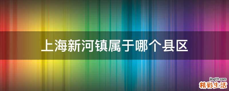 上海新河镇属于哪个县区