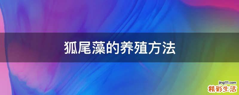 狐尾藻的养殖方法