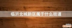 临沂北城新区属于什么街道