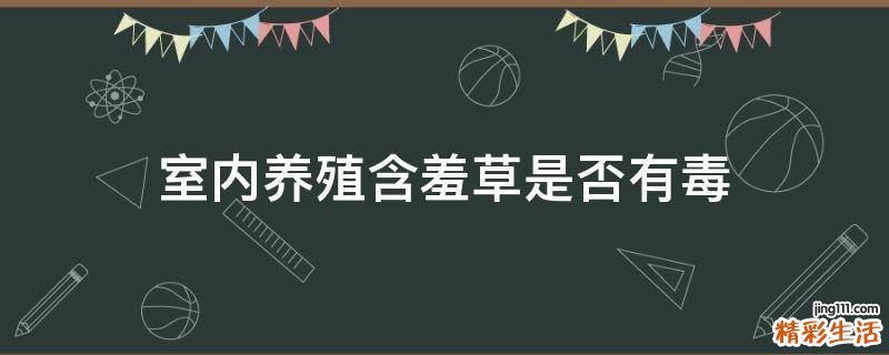 室内养殖含羞草是否有毒