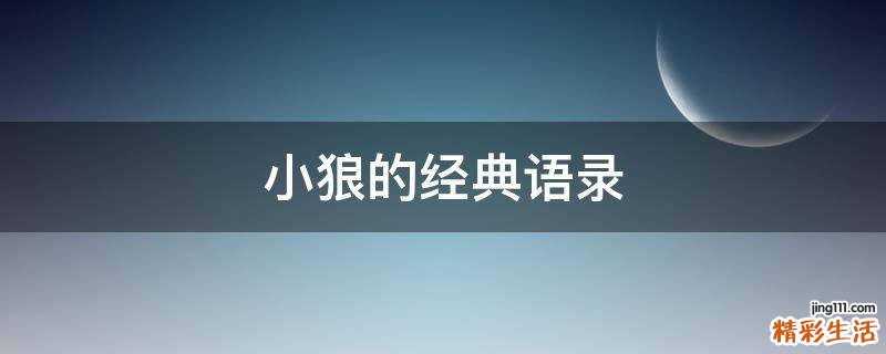 小狼的经典语录