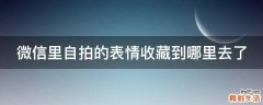微信里自拍的表情收藏到哪里去了