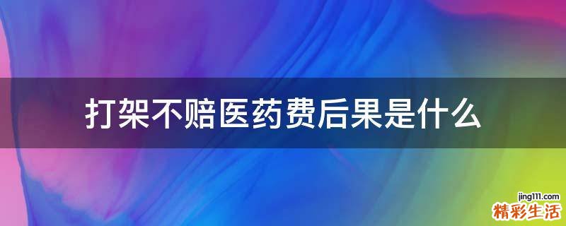 打架不赔医药费后果是什么