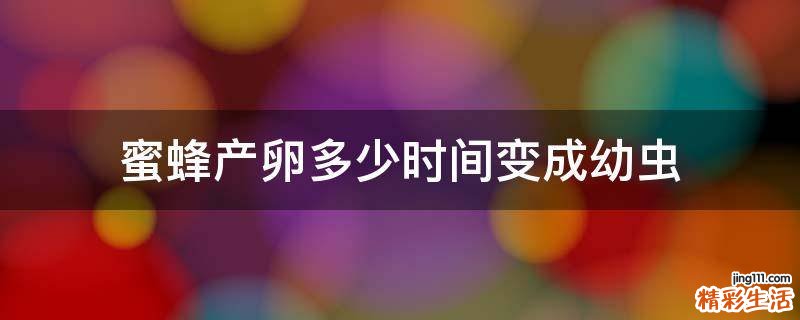 蜜蜂产卵多少时间变成幼虫