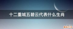 十二重城五碧云代表什么生肖