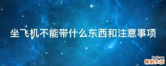 坐飞机不能带什么东西和注意事项