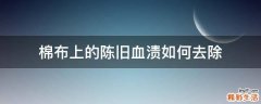 棉布上的陈旧血渍如何去除