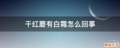 干红蘑有白霜怎么回事