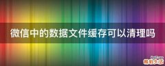 微信中的数据文件缓存可以清理吗