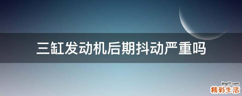 三缸发动机后期抖动严重吗