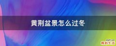 黄荆盆景怎么过冬