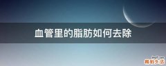 血管里的脂肪如何去除