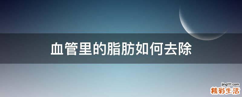 血管里的脂肪如何去除