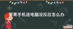 苹果手机连电脑没反应怎么办