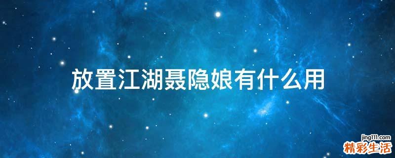 放置江湖聂隐娘有什么用