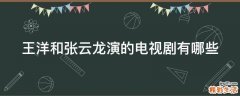 王洋和张云龙演的电视剧有哪些