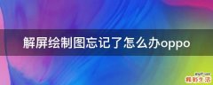 解屏绘制图忘记了怎么办oppo