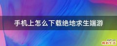 手机上怎么下载绝地求生端游