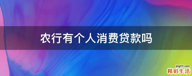 农行有个人消费贷款吗