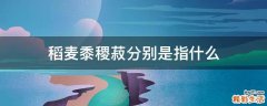 稻麦黍稷菽分别是指什么
