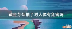 黄金芽烟抽了对人体有危害吗