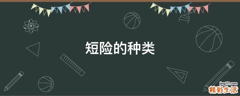 短险的种类