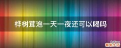 桦树茸泡一天一夜还可以喝吗